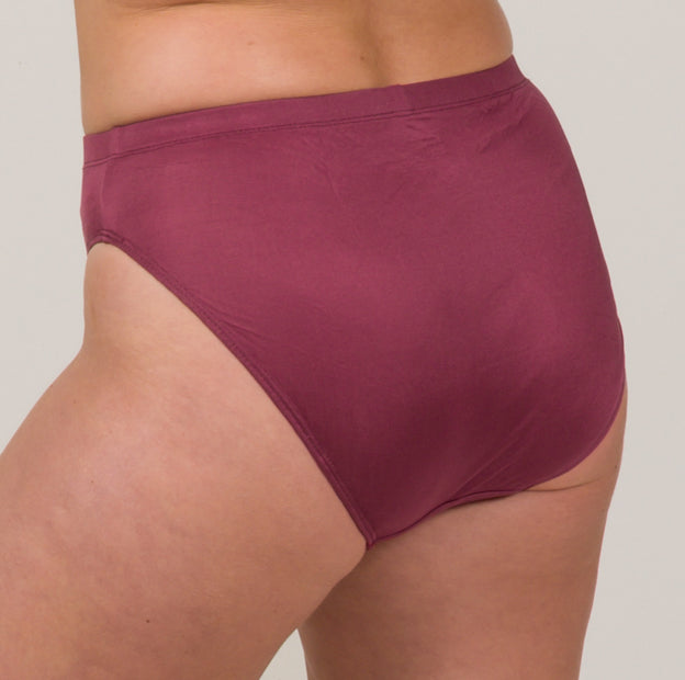 Silk Full Briefs
