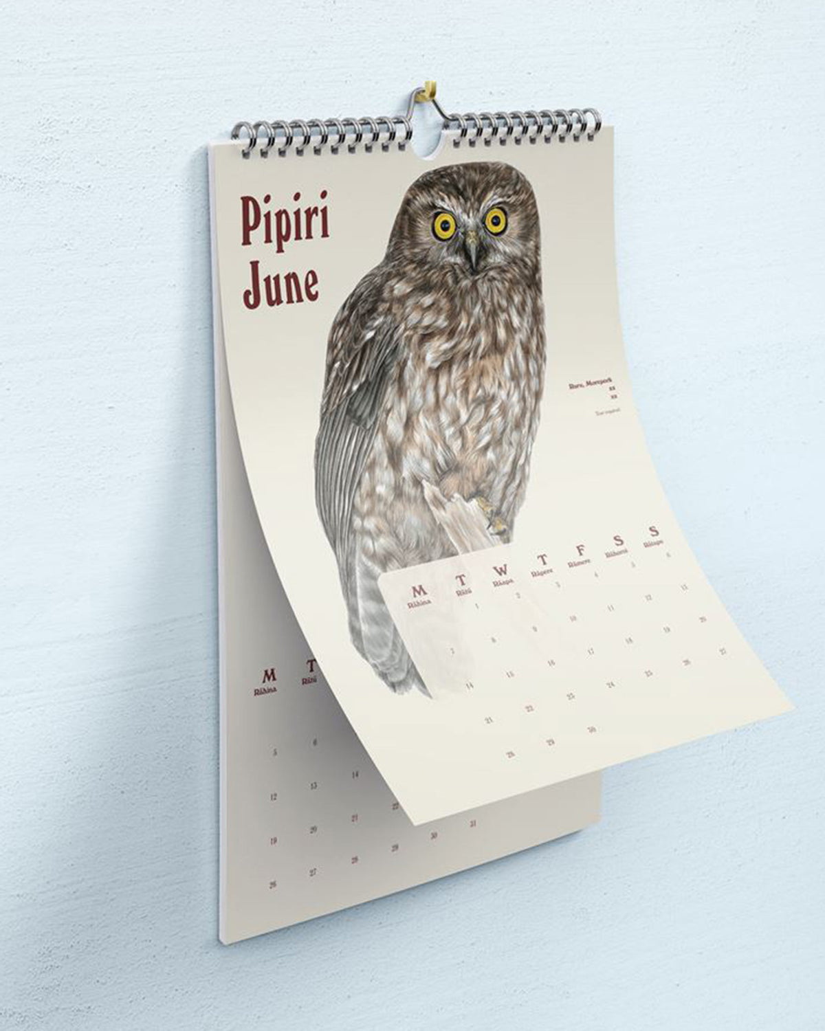 New Zealand Bird Calendar by Erin Forsyth 2027