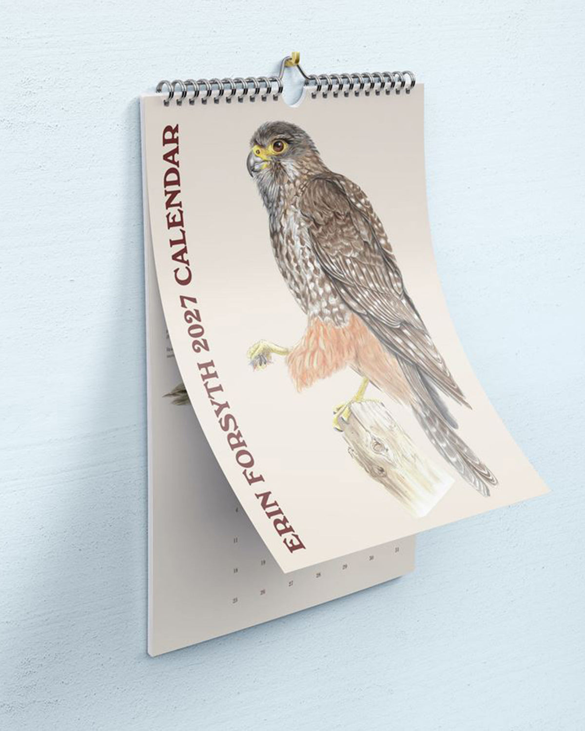 2027 New Zealand art calendar by Erin Forsyth.