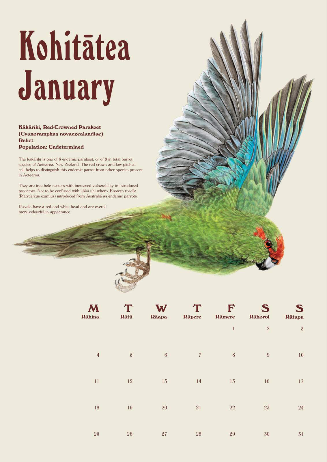 New Zealand Bird Calendar by Erin Forsyth 2027