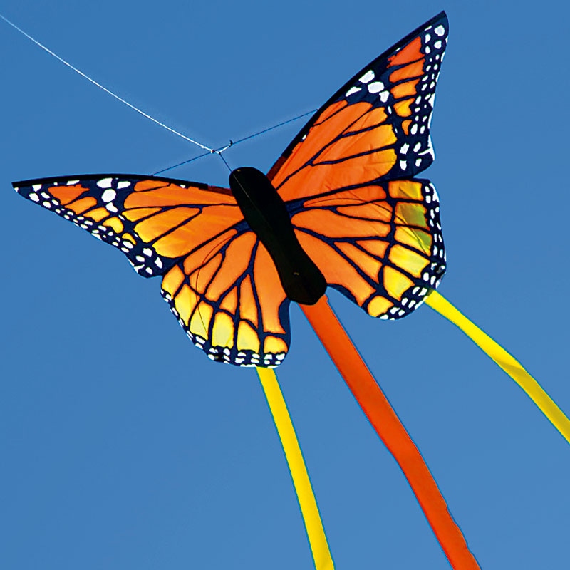 Butterfly Kite