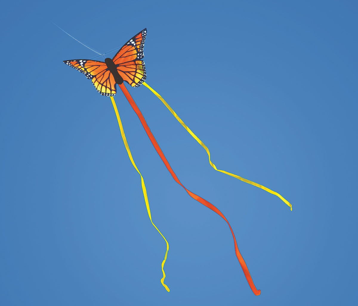 Butterfly Kite