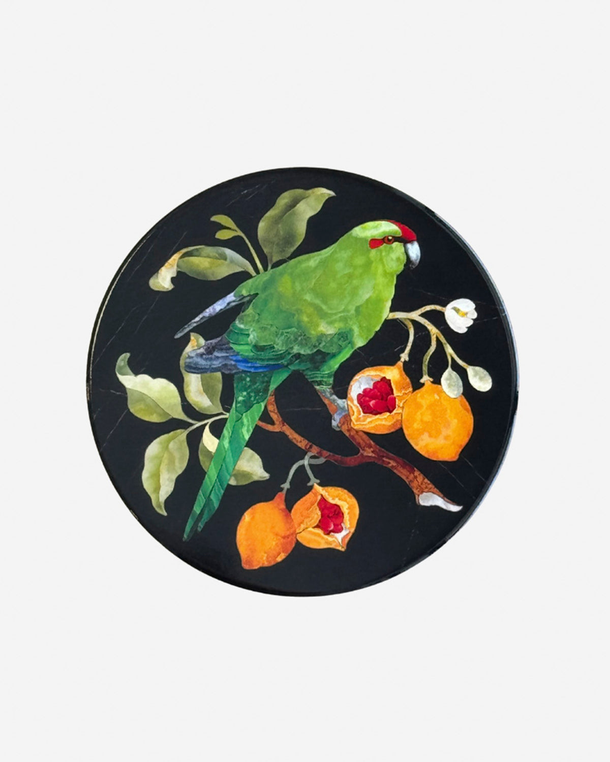 Coasters with NZ Birds by Tanya Wolfkamp