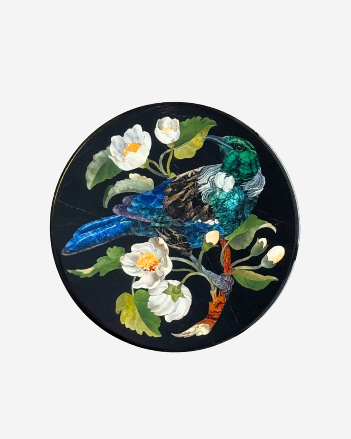 Coasters with NZ Birds by Tanya Wolfkamp