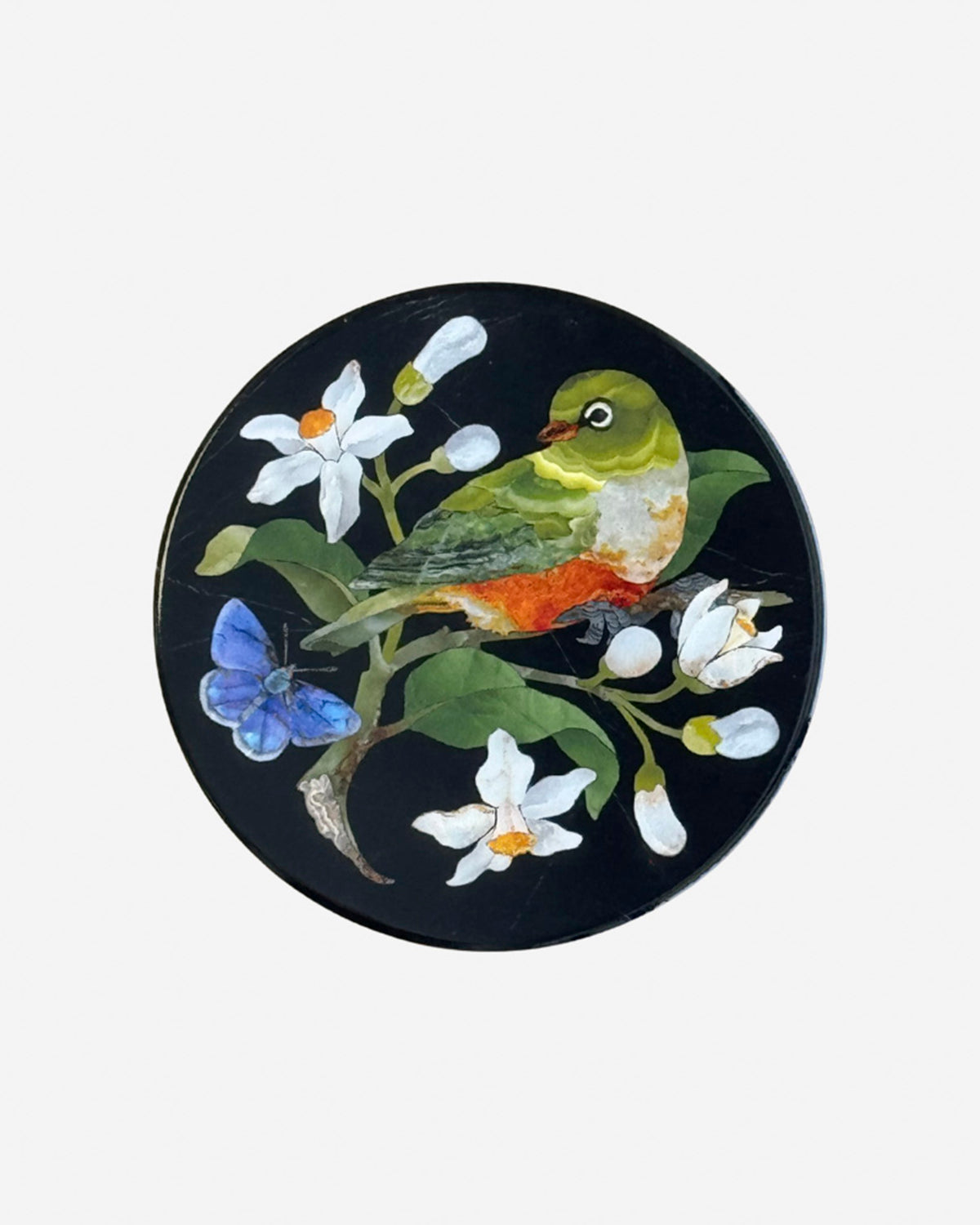 Coasters with NZ Birds by Tanya Wolfkamp