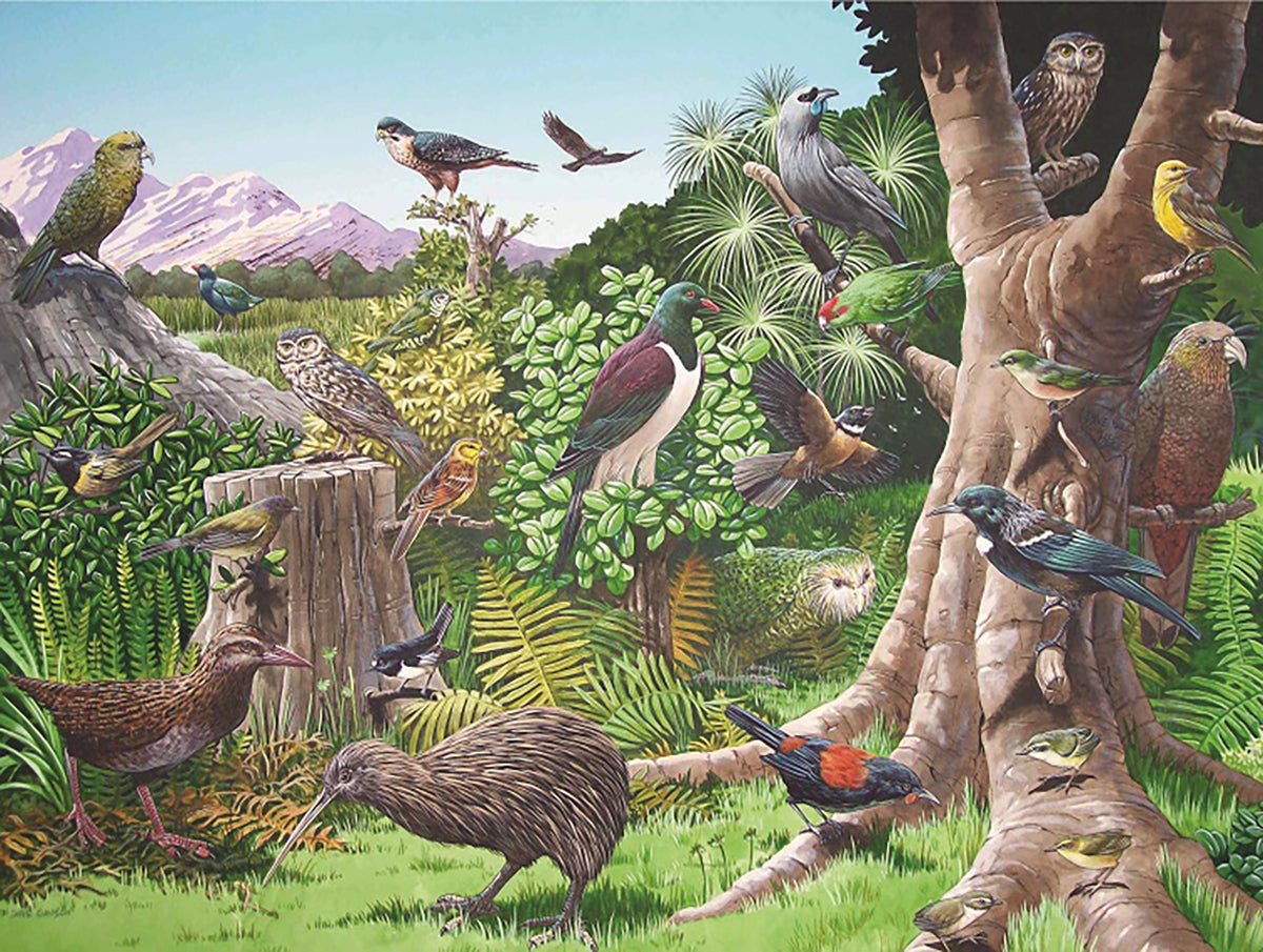 New Zealand 30 piece Frame Tray Puzzles