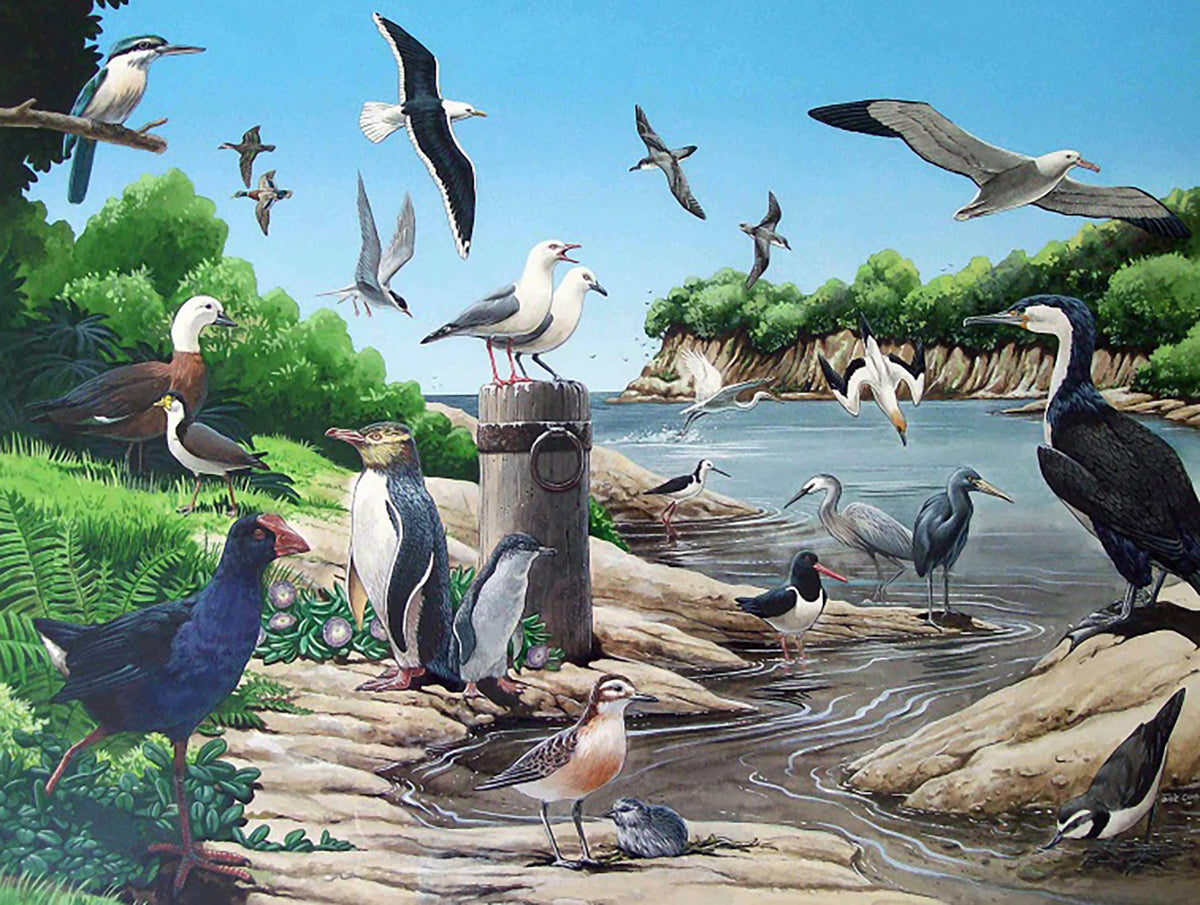 New Zealand 30 piece Frame Tray Puzzles