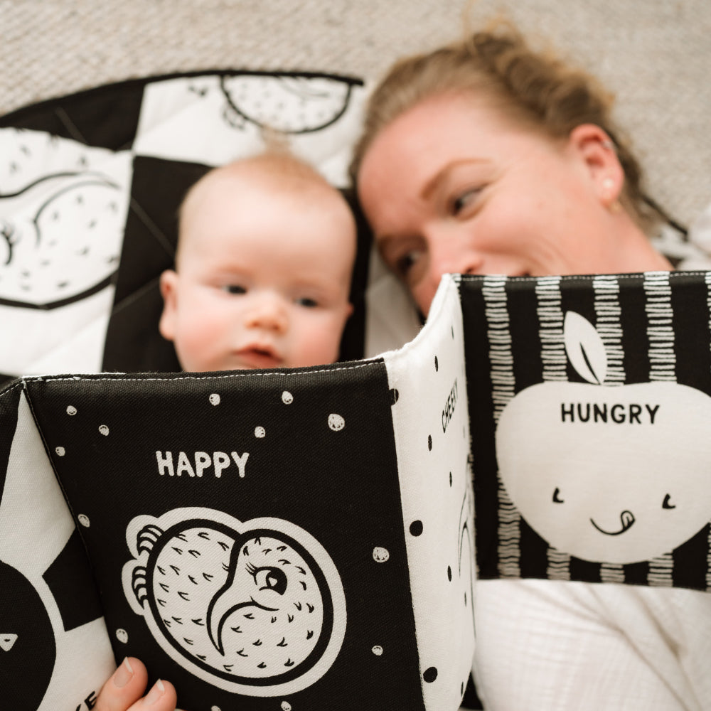 Sleepy Kiwi Fabric Book