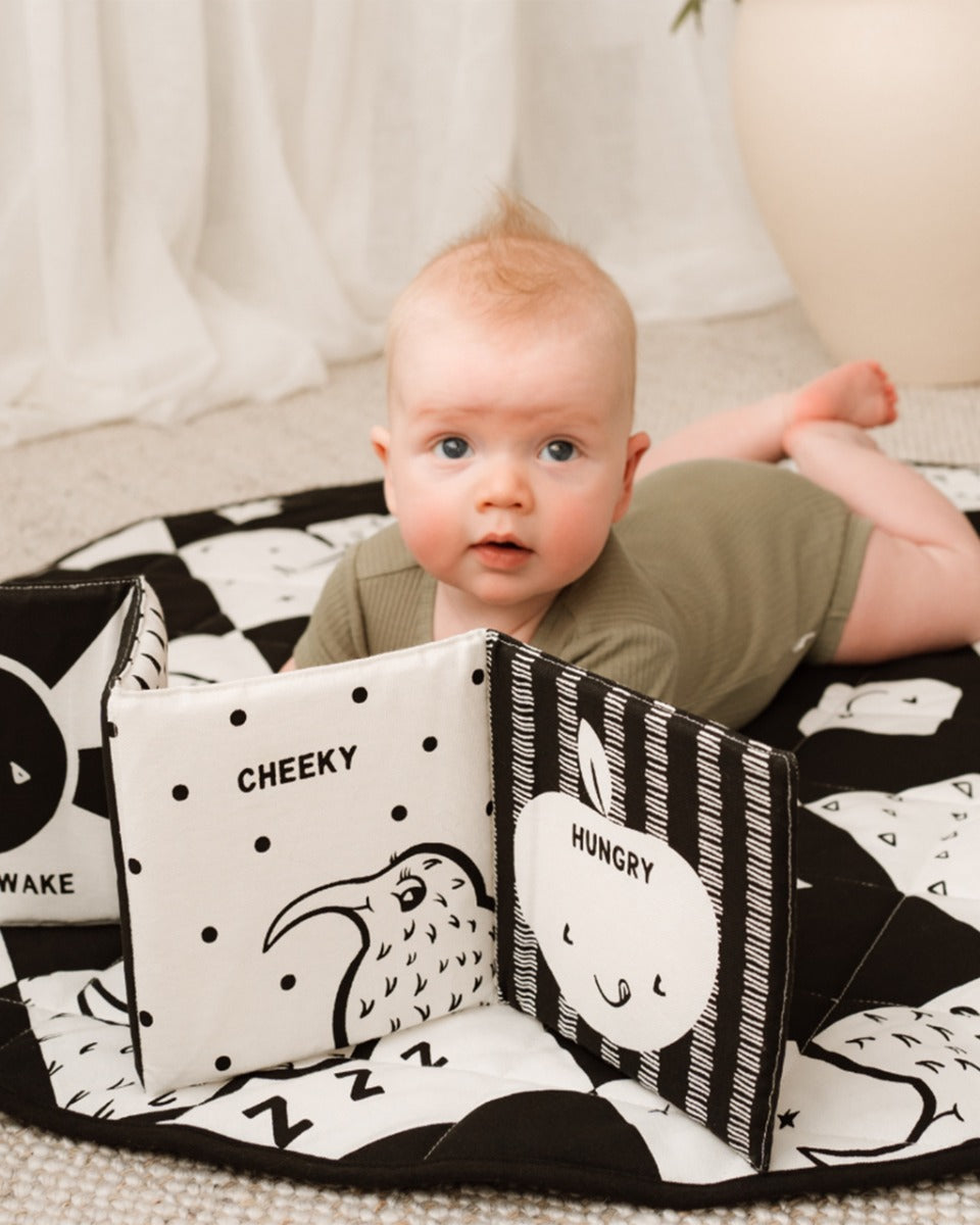 Sleepy Kiwi Fabric Book