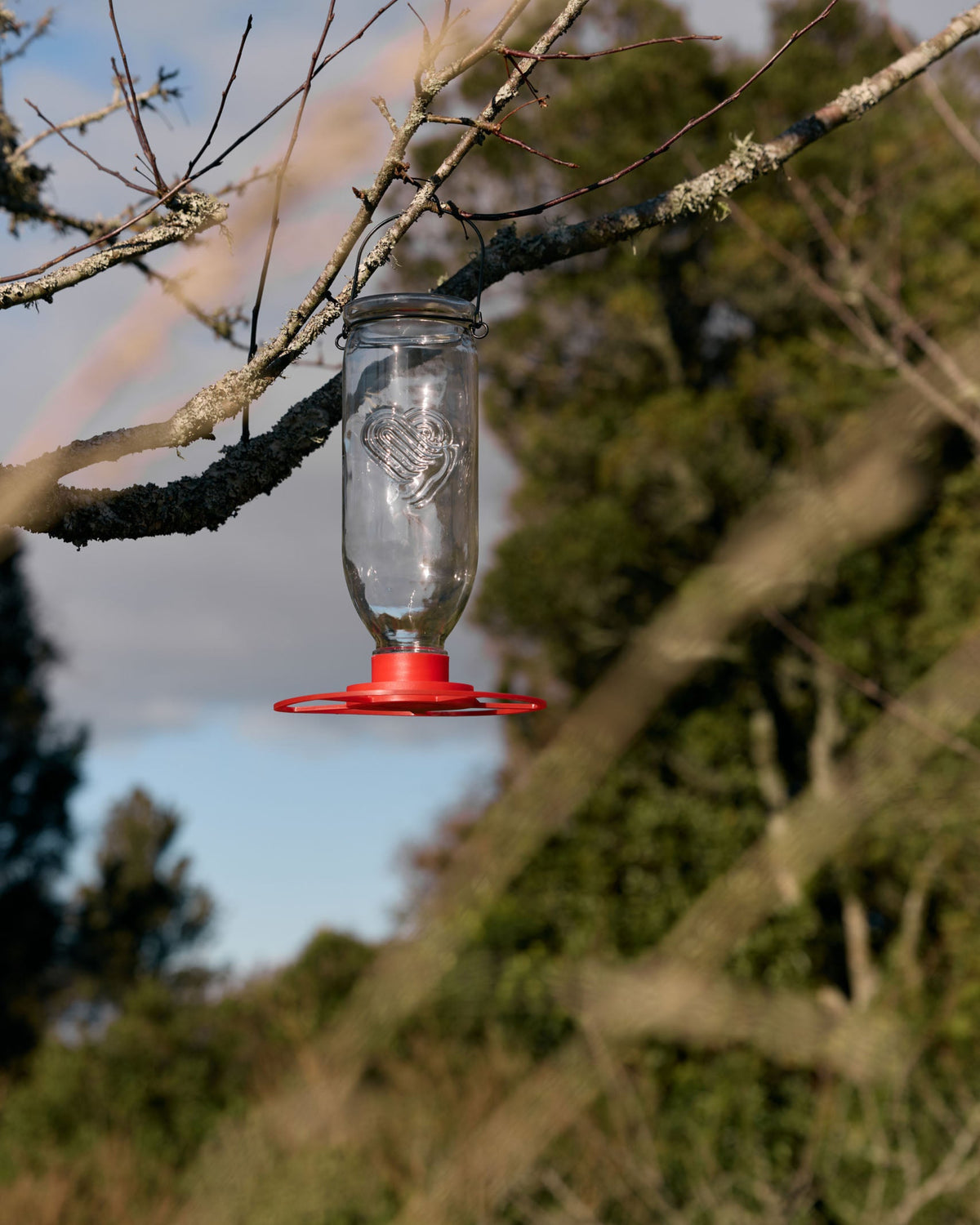 A clear glass bird feeder with a red plastic base hangs from a tree branch outdoors, with blurred green foliage and blue sky in the background.