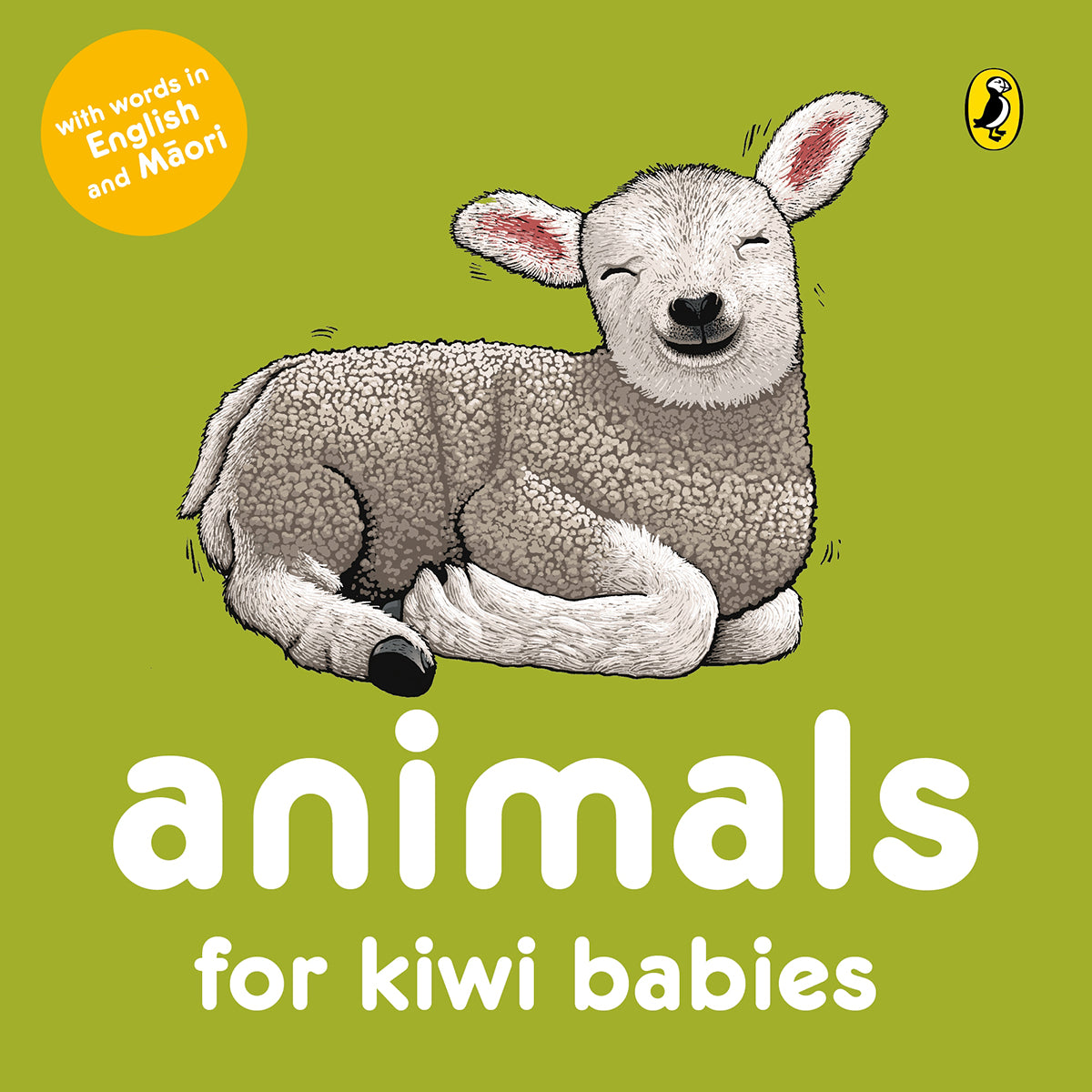 Kiwi Babies Board Books
