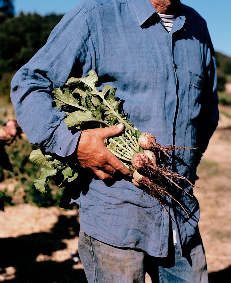 Gardening lifestyle