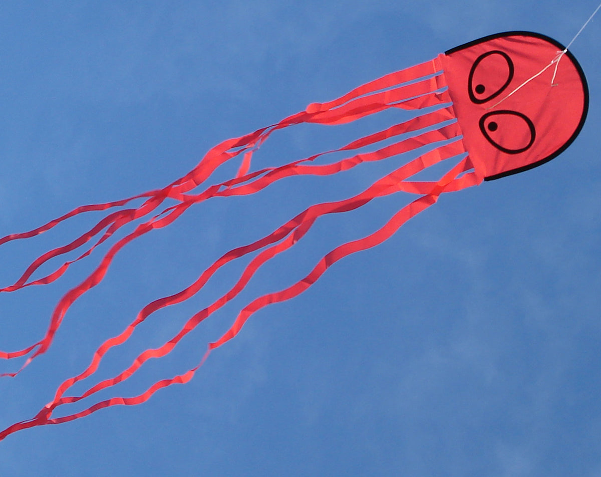 Peter Lynn Octopus Kite